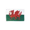 Welsh Dragon